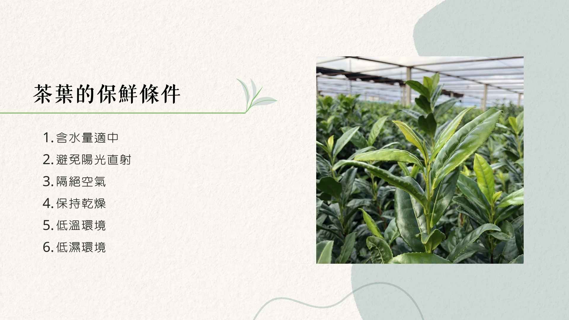茶葉的保鮮條件