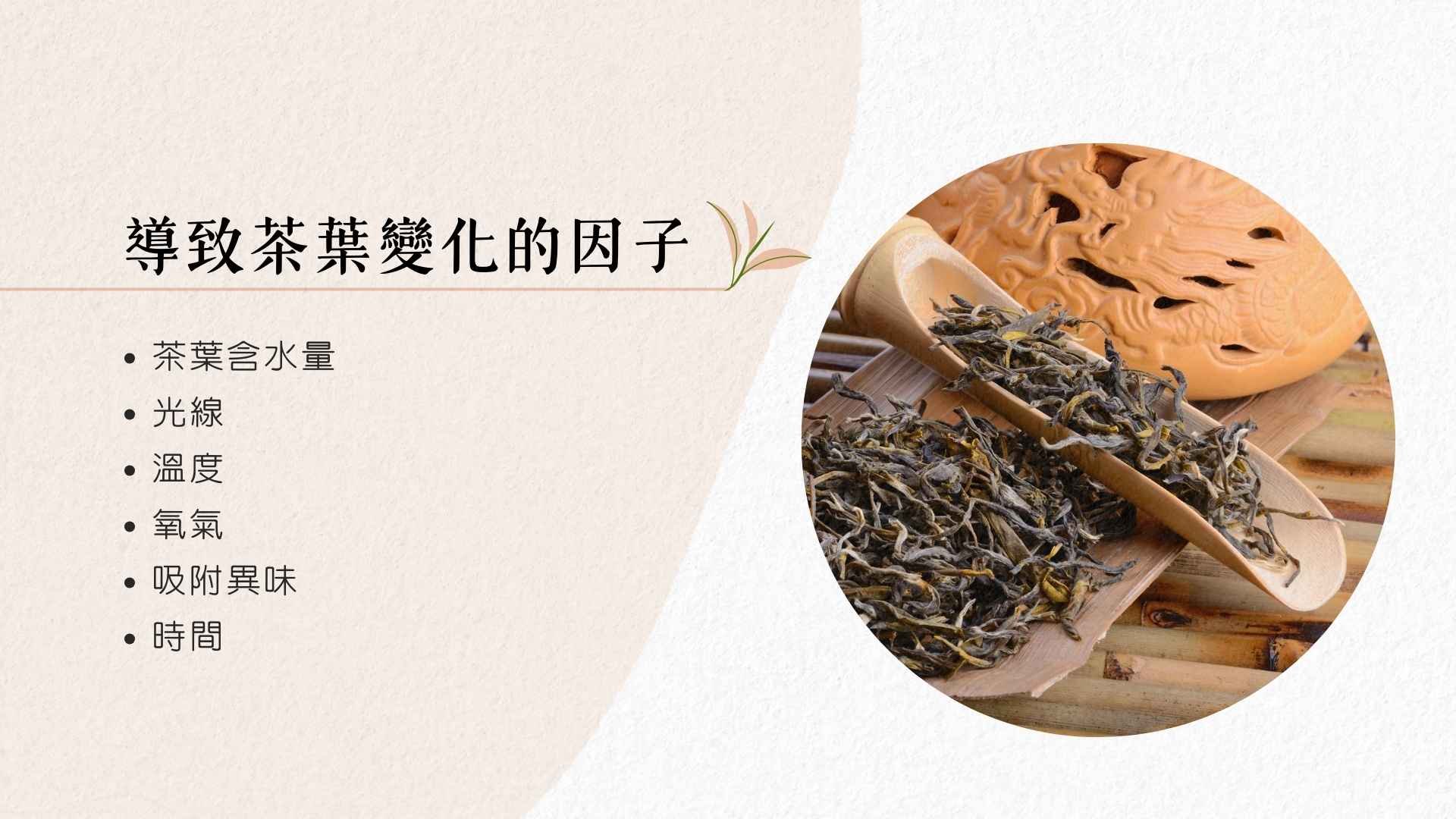 導致茶葉變化的因子