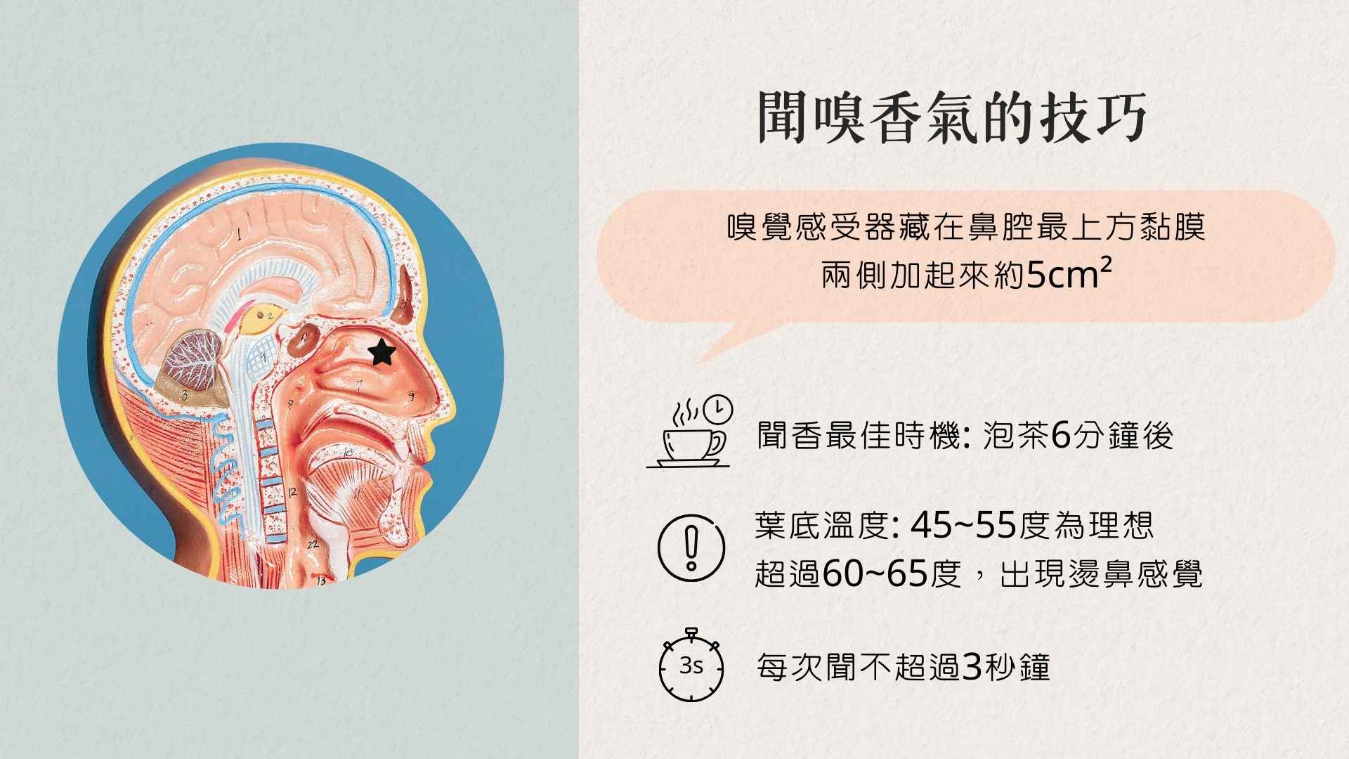 聞嗅香氣的技巧