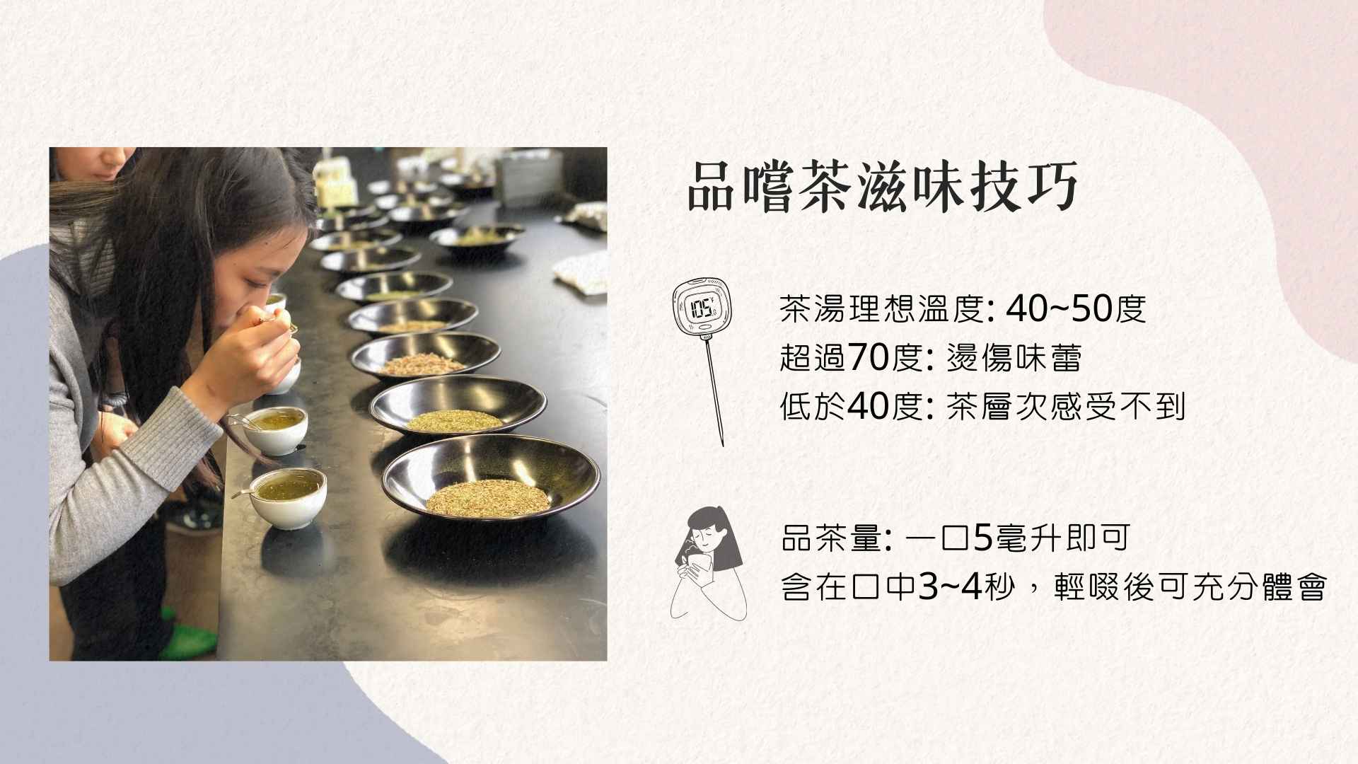 品嚐茶滋味技巧